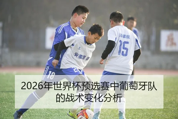 2026年世界杯预选赛中葡萄牙队的战术变化分析
