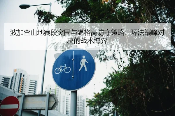 波加查山地赛段突围与温格高防守策略：环法巅峰对决的战术博弈