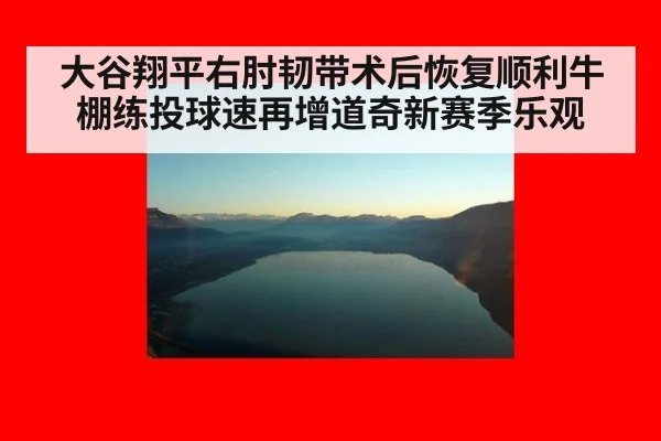 大谷翔平右肘韧带术后恢复顺利牛棚练投球速再增道奇新赛季乐观